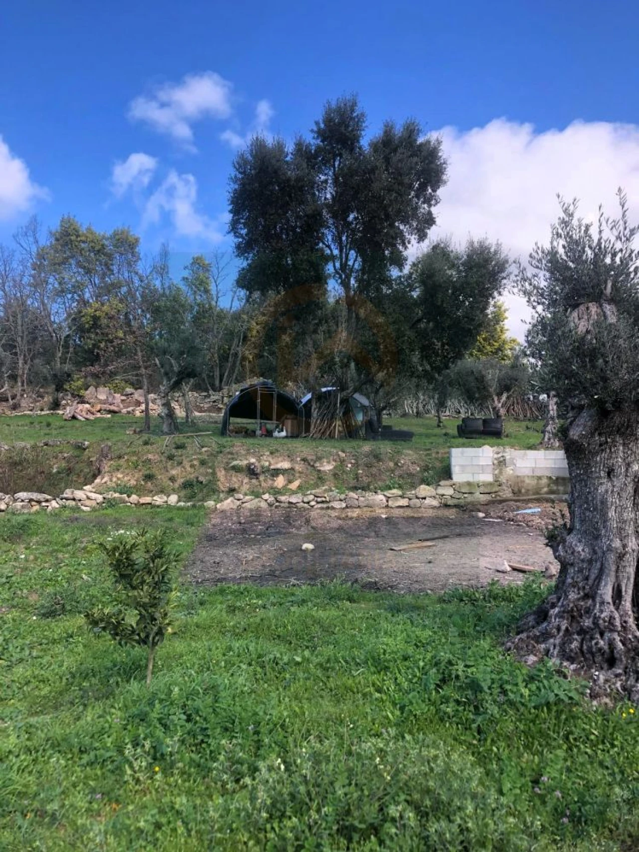 Terreno para Venda em Póvoa de Rio de Moinhos e Cafede Foto 2