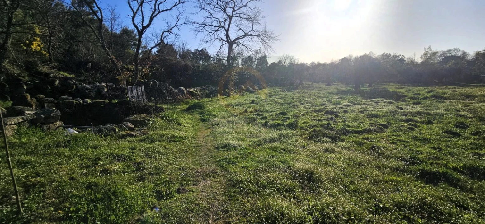 Terreno para Venda em Póvoa de Rio de Moinhos e Cafede Foto 55