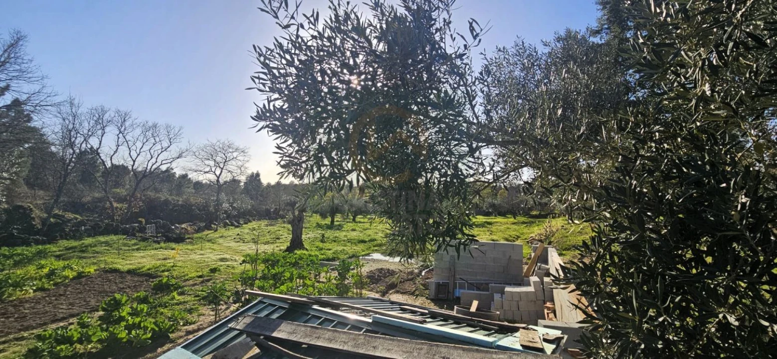 Terreno para Venda em Póvoa de Rio de Moinhos e Cafede Foto 22