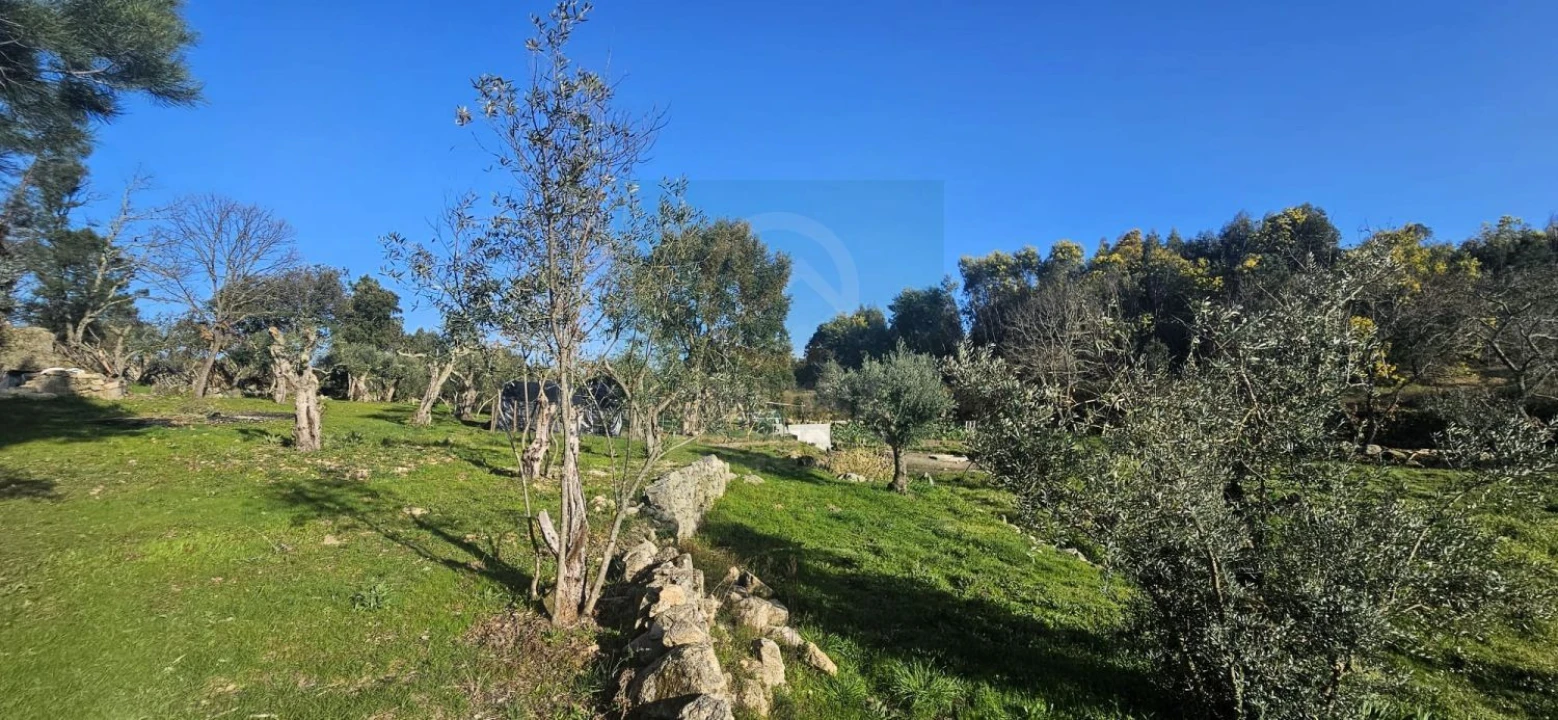 Terreno para Venda em Póvoa de Rio de Moinhos e Cafede Foto 46