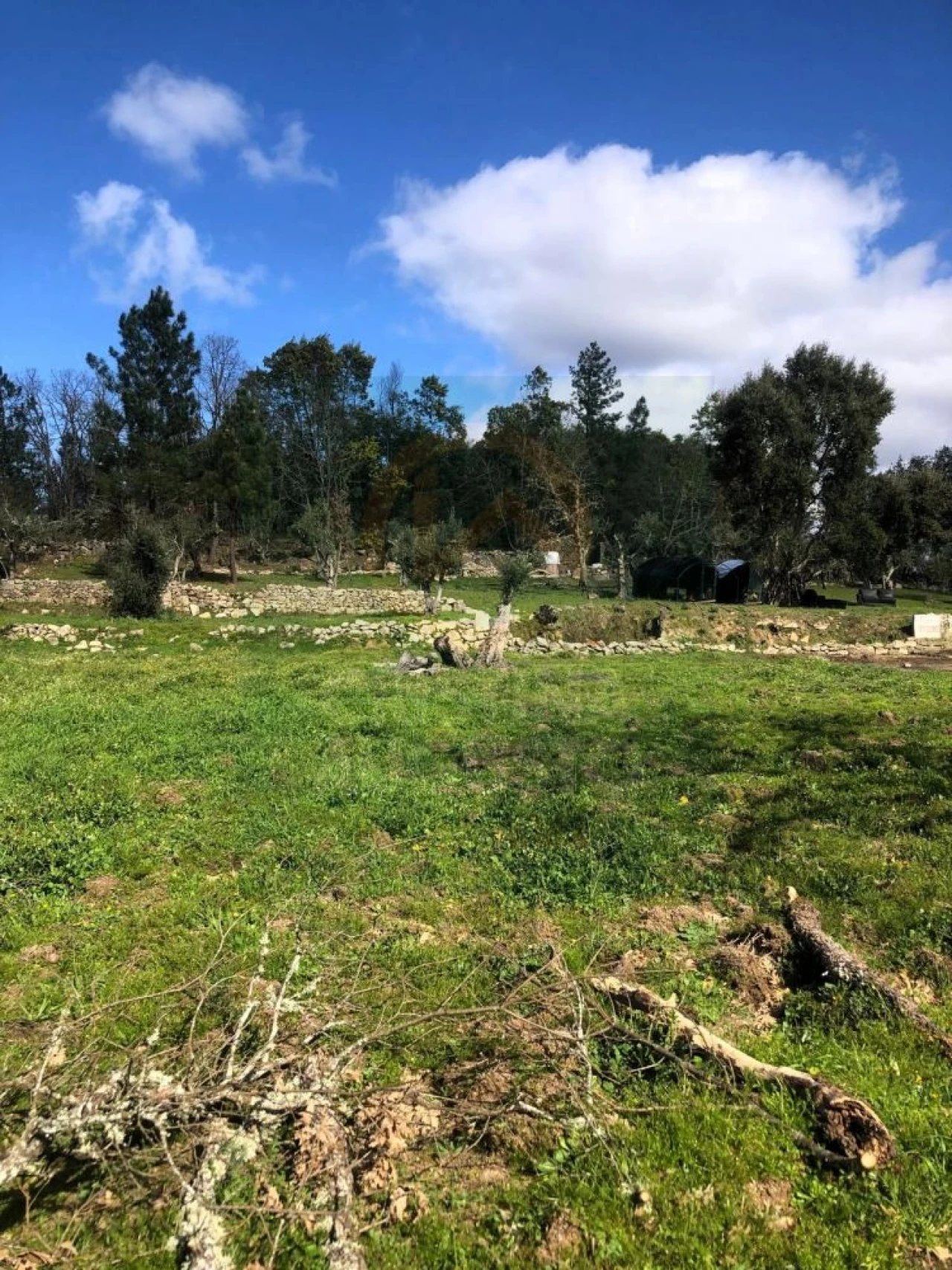 Terreno para Venda em Póvoa de Rio de Moinhos e Cafede Foto 59