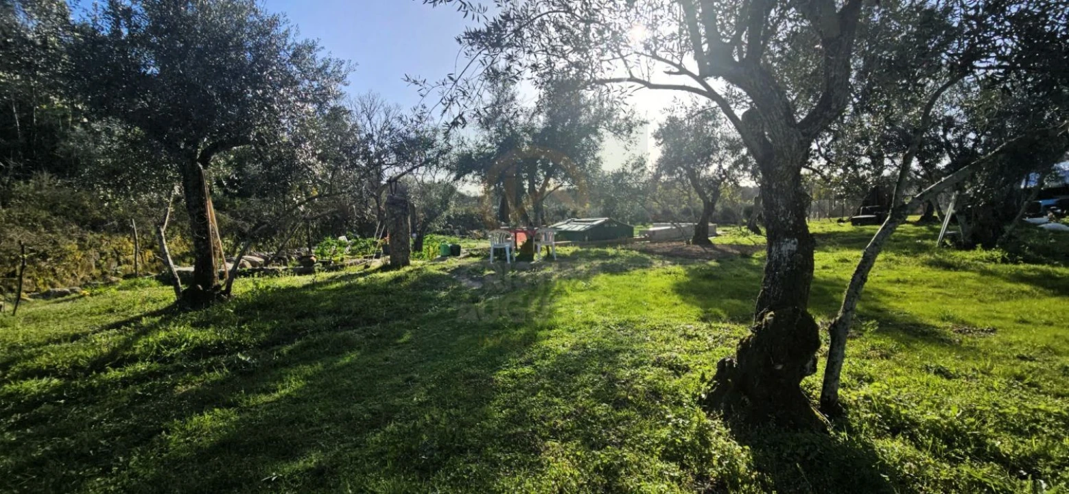 Terreno para Venda em Póvoa de Rio de Moinhos e Cafede Foto 40