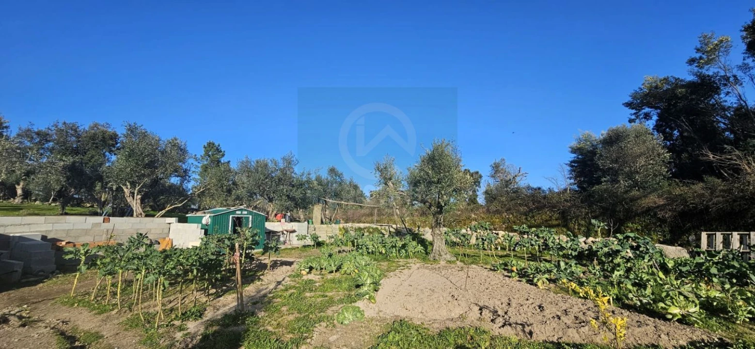Terreno para Venda em Póvoa de Rio de Moinhos e Cafede Foto 25