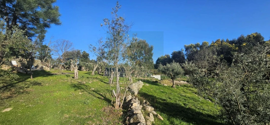 Terreno para Venda em Póvoa de Rio de Moinhos e Cafede Foto 42