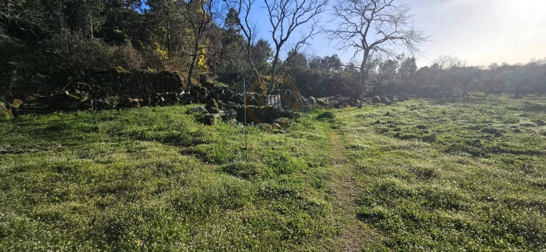 Terreno para Venda em Póvoa de Rio de Moinhos e Cafede Foto 44