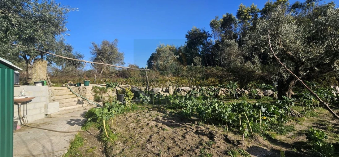 Terreno para Venda em Póvoa de Rio de Moinhos e Cafede Foto 30