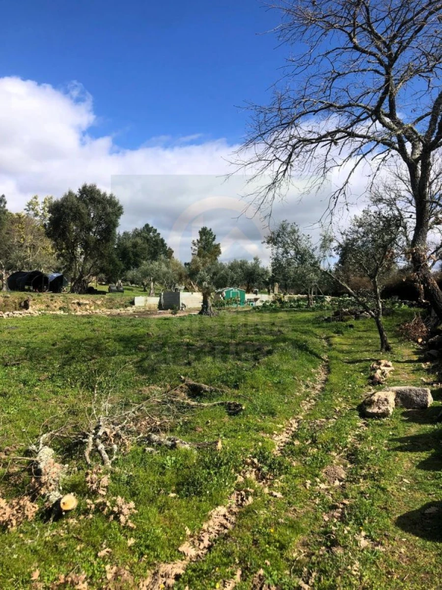 Terreno para Venda em Póvoa de Rio de Moinhos e Cafede Foto 60