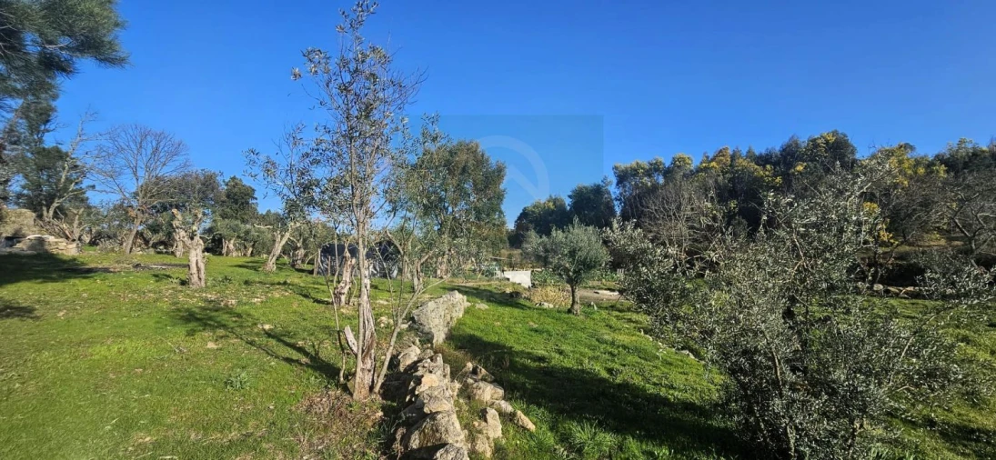 Terreno para Venda em Póvoa de Rio de Moinhos e Cafede Foto 46