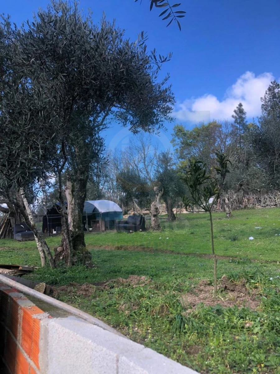 Terreno para Venda em Póvoa de Rio de Moinhos e Cafede Foto 11