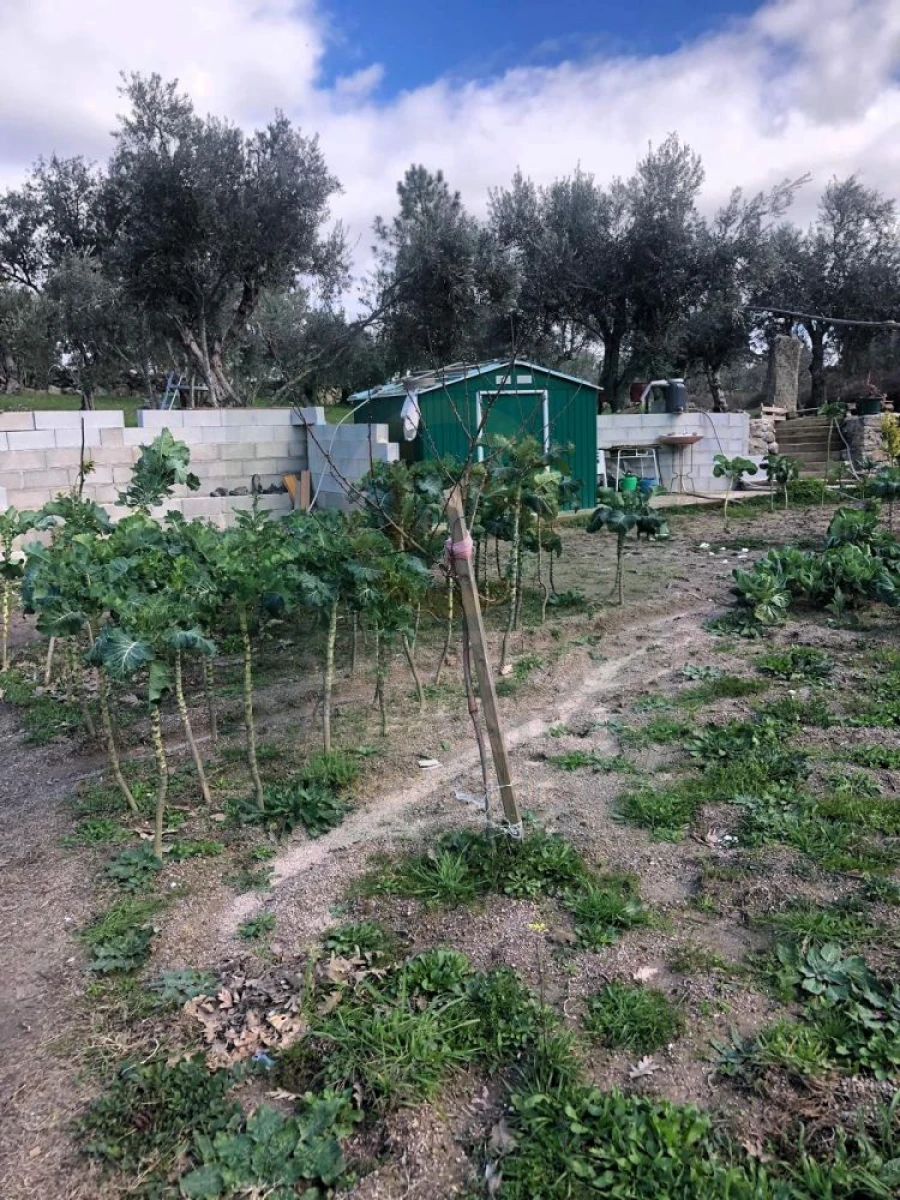 Terreno para Venda em Póvoa de Rio de Moinhos e Cafede Foto 61