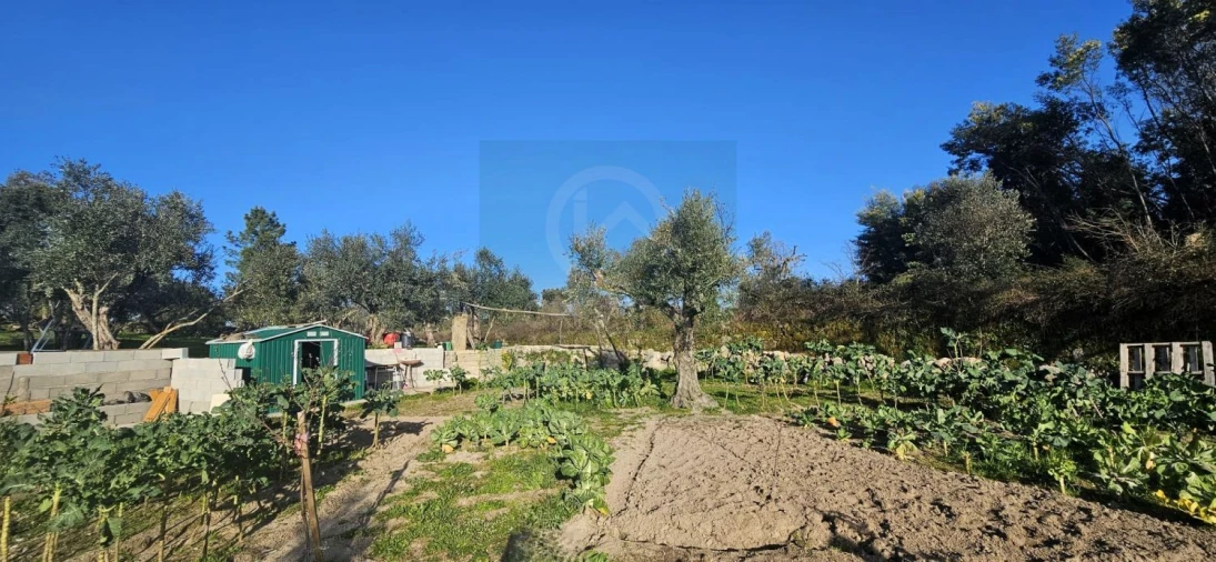 Terreno para Venda em Póvoa de Rio de Moinhos e Cafede Foto 29