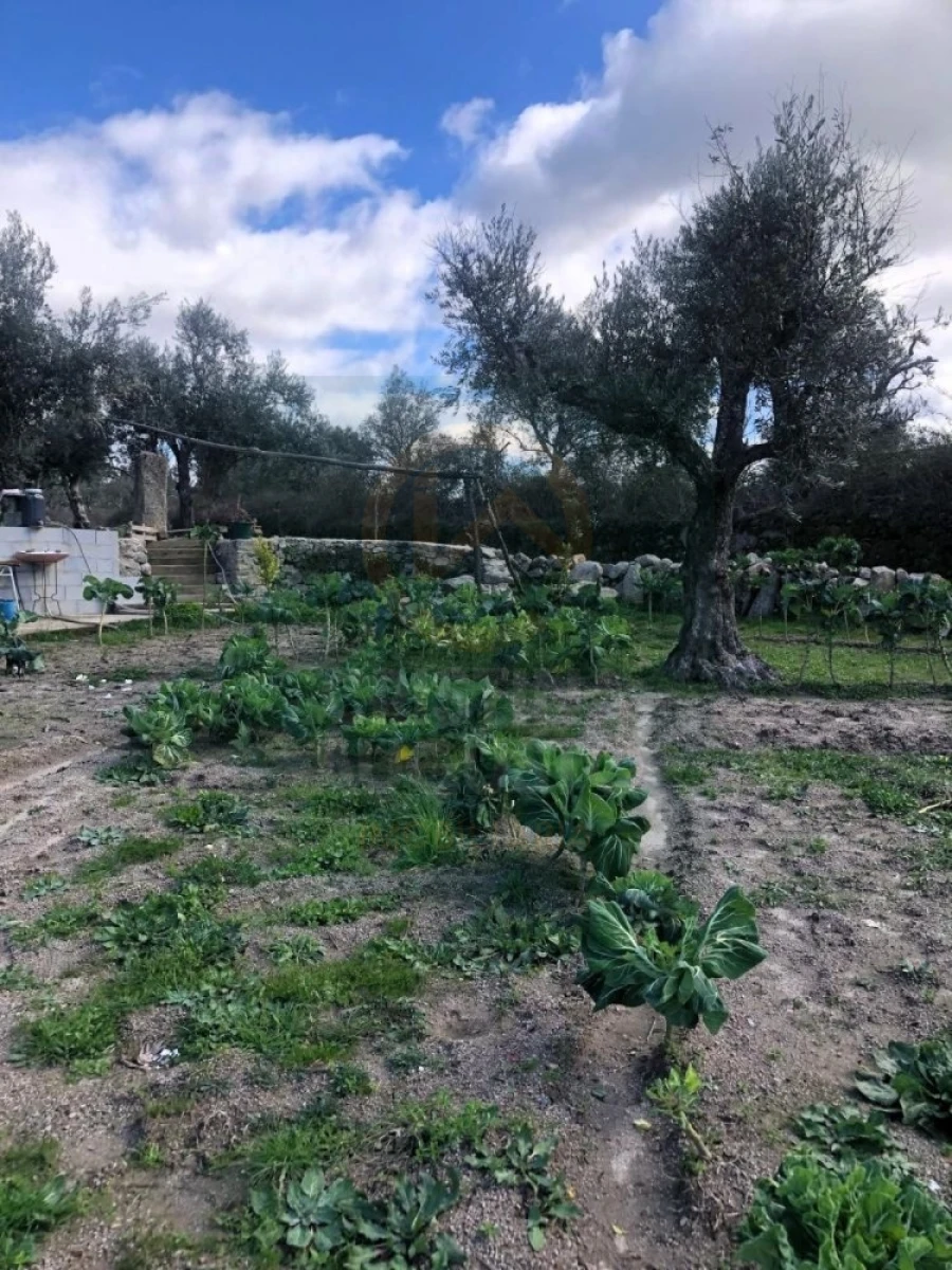 Terreno para Venda em Póvoa de Rio de Moinhos e Cafede Foto 7