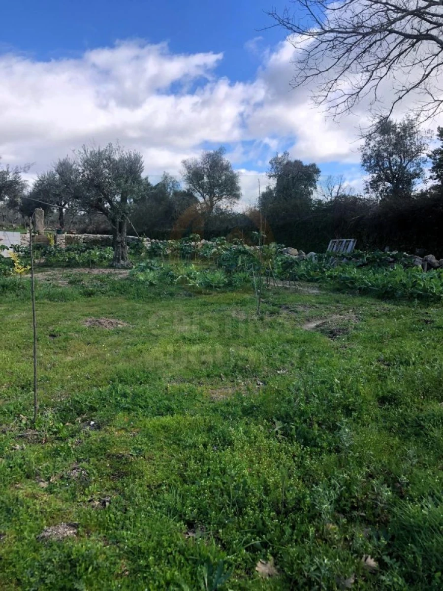 Terreno para Venda em Póvoa de Rio de Moinhos e Cafede Foto 9