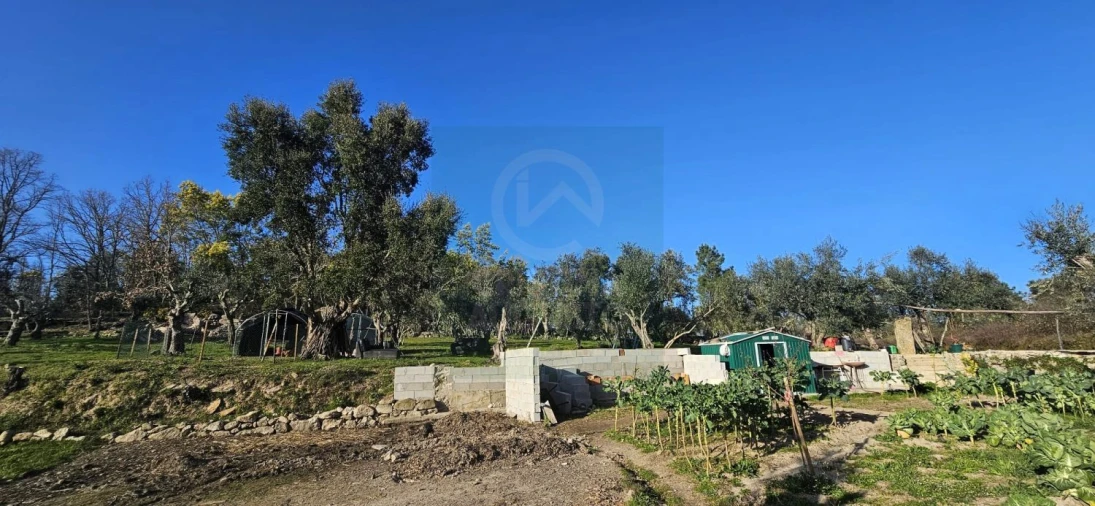 Terreno para Venda em Póvoa de Rio de Moinhos e Cafede Foto 20
