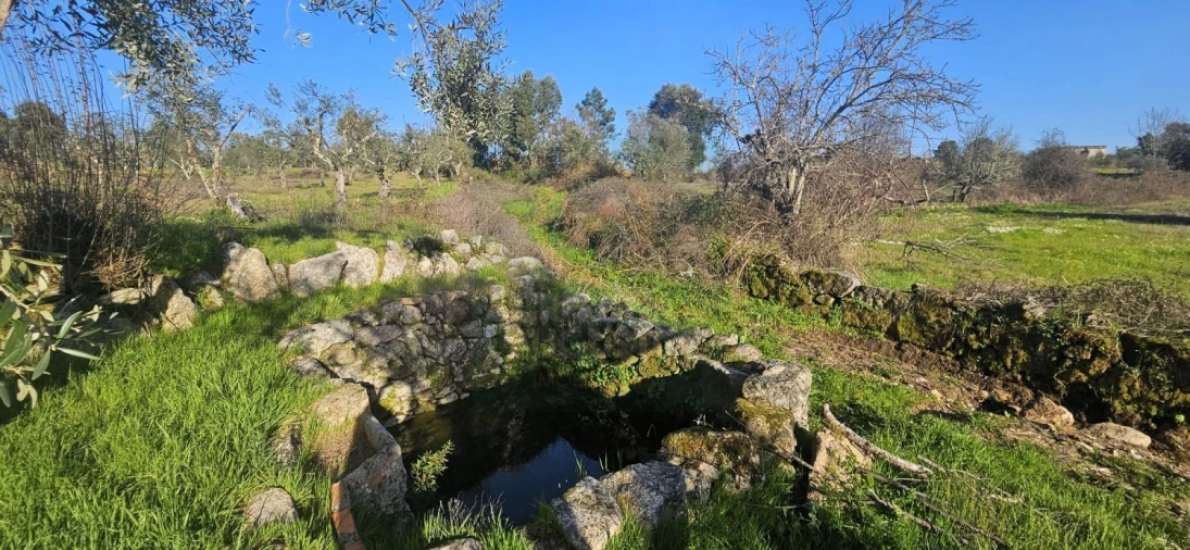 Terreno para Venda em Póvoa de Rio de Moinhos e Cafede Foto 36
