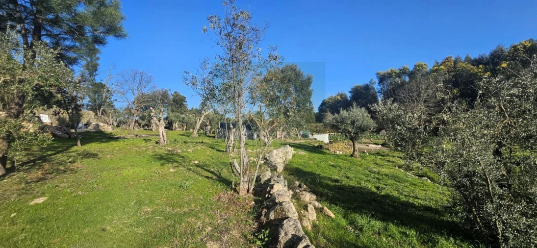 Terreno para Venda em Póvoa de Rio de Moinhos e Cafede Foto 39