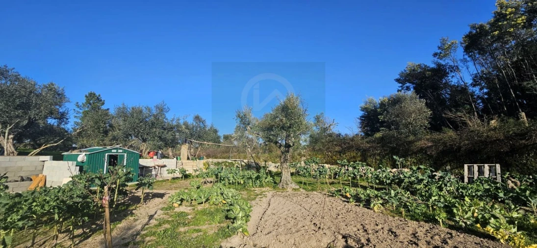 Terreno para Venda em Póvoa de Rio de Moinhos e Cafede Foto 27