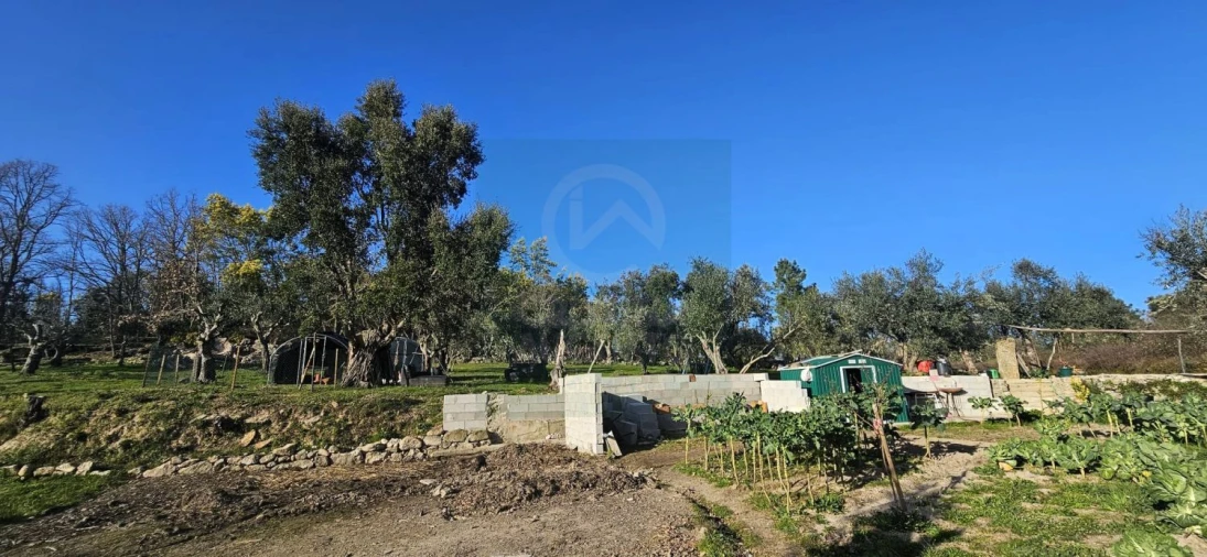 Terreno para Venda em Póvoa de Rio de Moinhos e Cafede