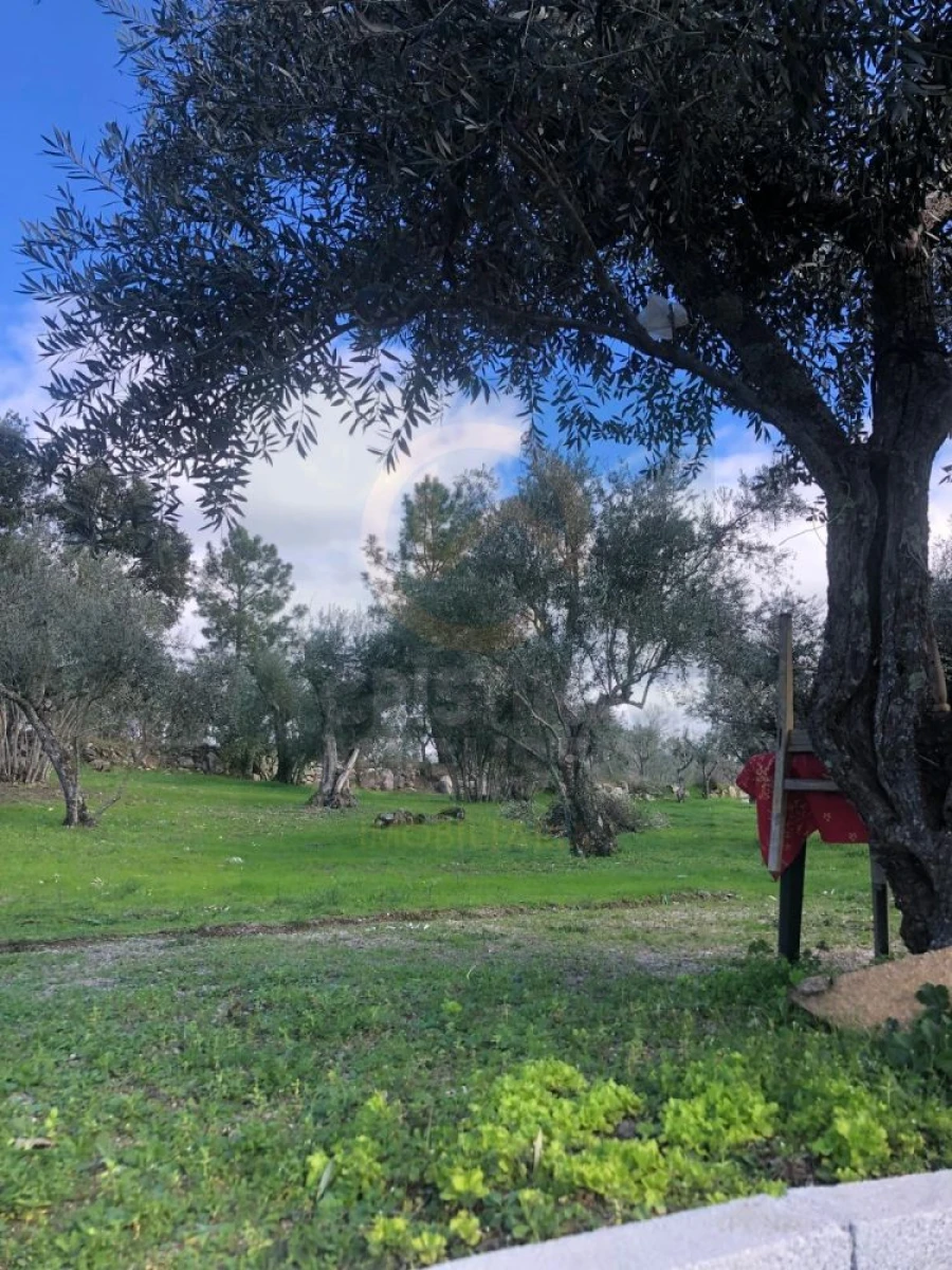 Terreno para Venda em Póvoa de Rio de Moinhos e Cafede Foto 58