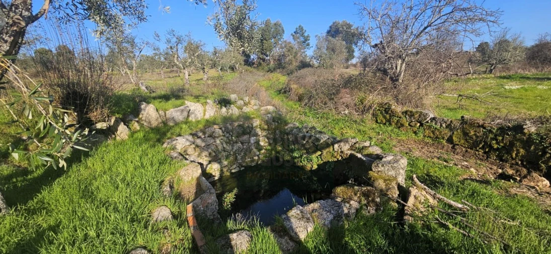 Terreno para Venda em Póvoa de Rio de Moinhos e Cafede Foto 33