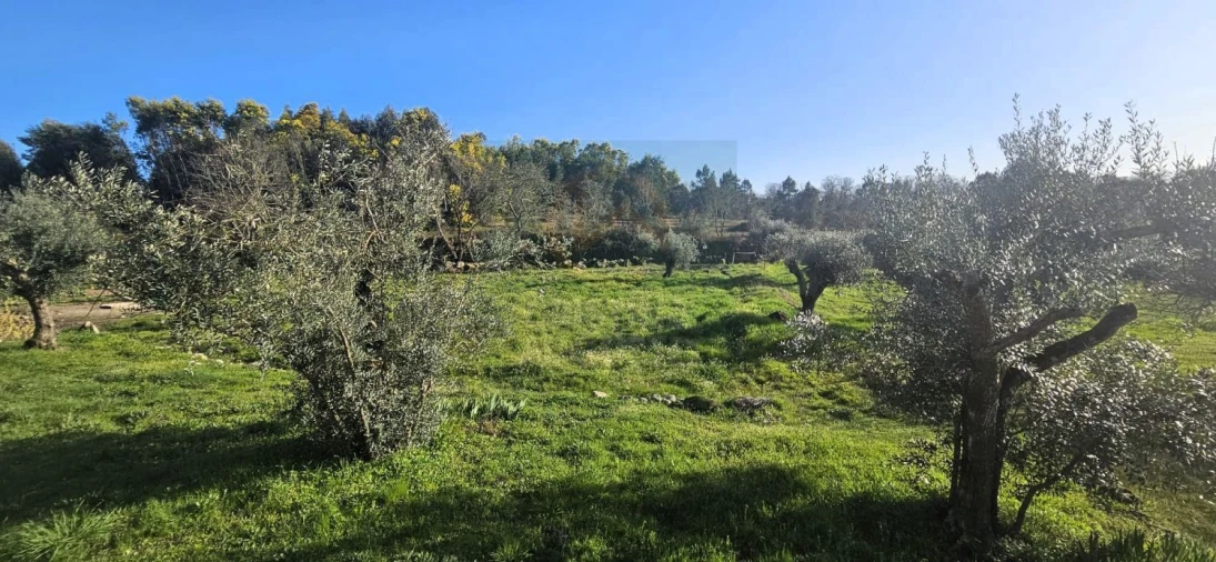 Terreno para Venda em Póvoa de Rio de Moinhos e Cafede Foto 47