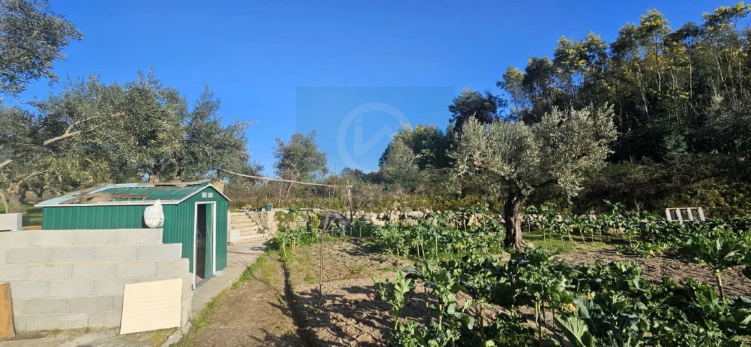 Terreno para Venda em Póvoa de Rio de Moinhos e Cafede Foto 21