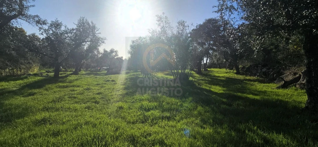 Terreno para Venda em Póvoa de Rio de Moinhos e Cafede Foto 38
