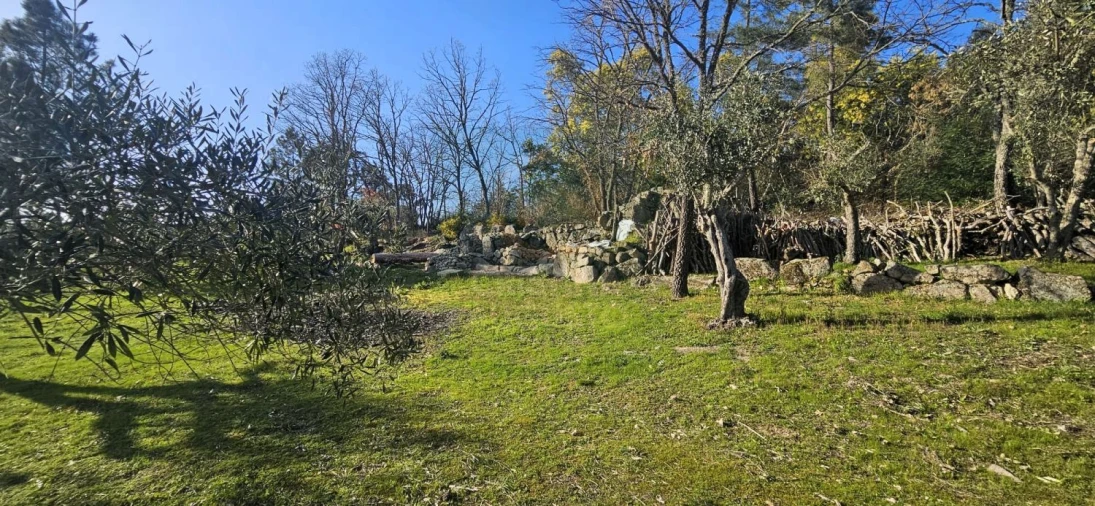 Terreno para Venda em Póvoa de Rio de Moinhos e Cafede Foto 12