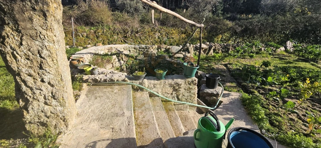 Terreno para Venda em Póvoa de Rio de Moinhos e Cafede Foto 19