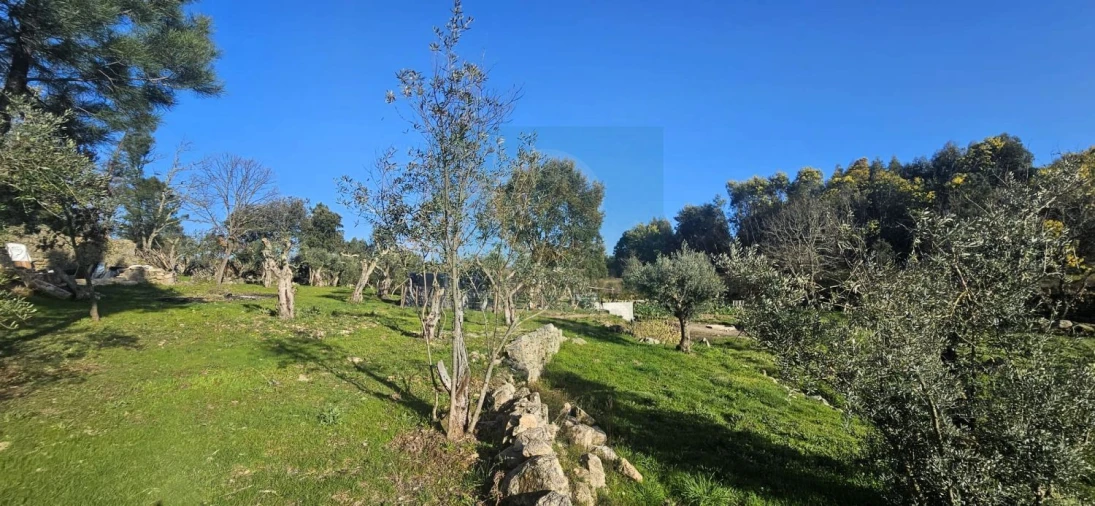 Terreno para Venda em Póvoa de Rio de Moinhos e Cafede Foto 49