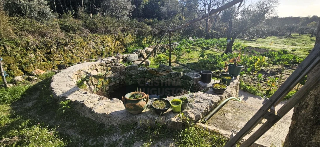 Terreno para Venda em Póvoa de Rio de Moinhos e Cafede Foto 35