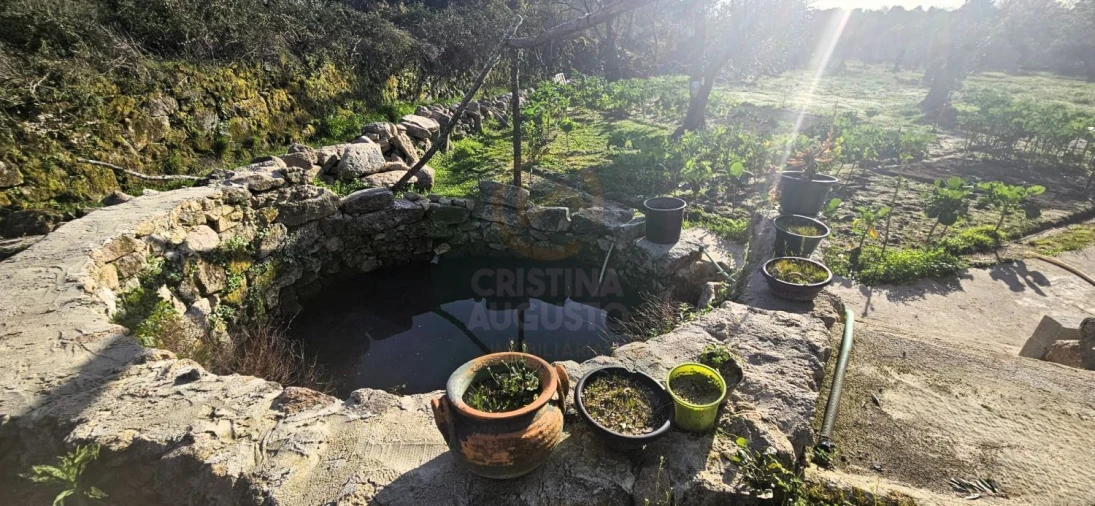 Terreno para Venda em Póvoa de Rio de Moinhos e Cafede Foto 32