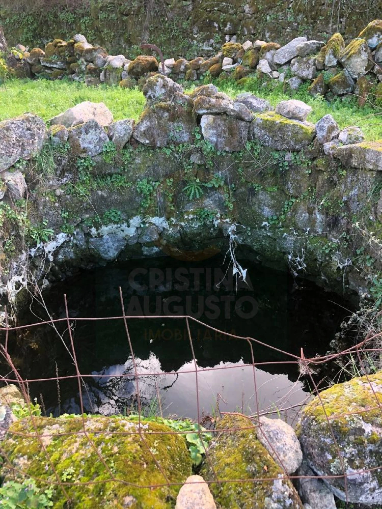 Terreno para Venda em Póvoa de Rio de Moinhos e Cafede Foto 6