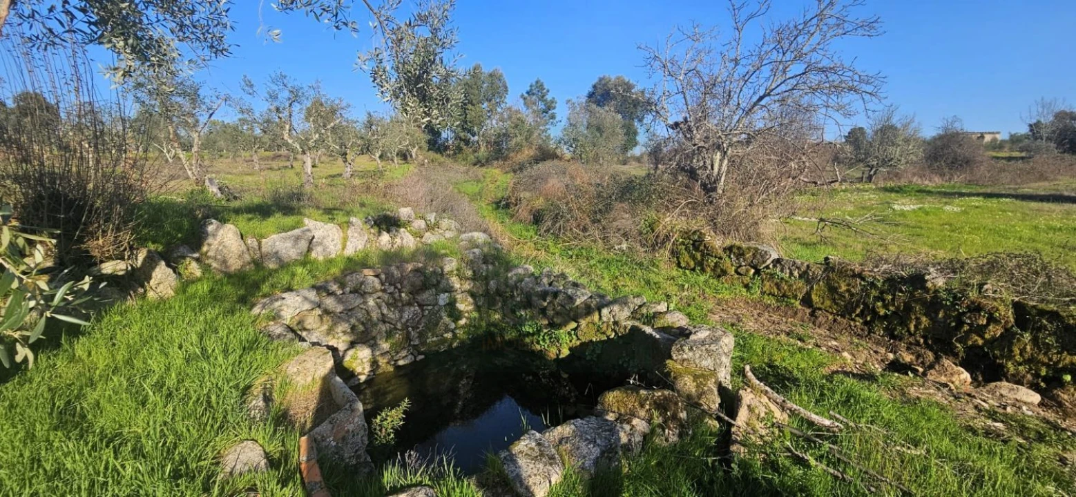 Terreno para Venda em Póvoa de Rio de Moinhos e Cafede Foto 36