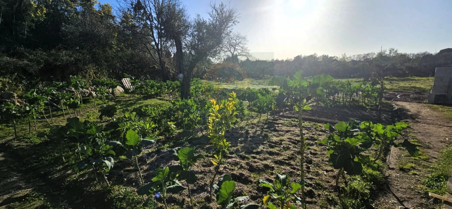 Terreno para Venda em Póvoa de Rio de Moinhos e Cafede Foto 41