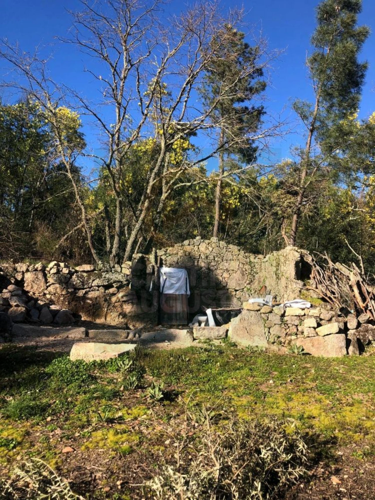 Terreno para Venda em Póvoa de Rio de Moinhos e Cafede Foto 3