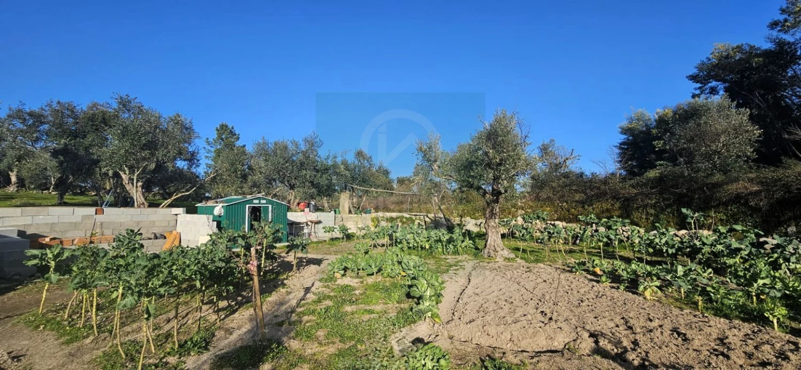 Terreno para Venda em Póvoa de Rio de Moinhos e Cafede Foto 26