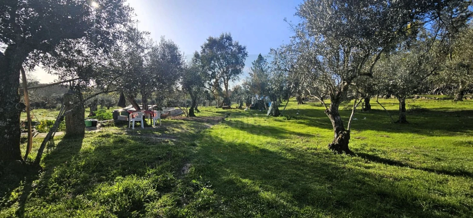 Terreno para Venda em Póvoa de Rio de Moinhos e Cafede Foto 53
