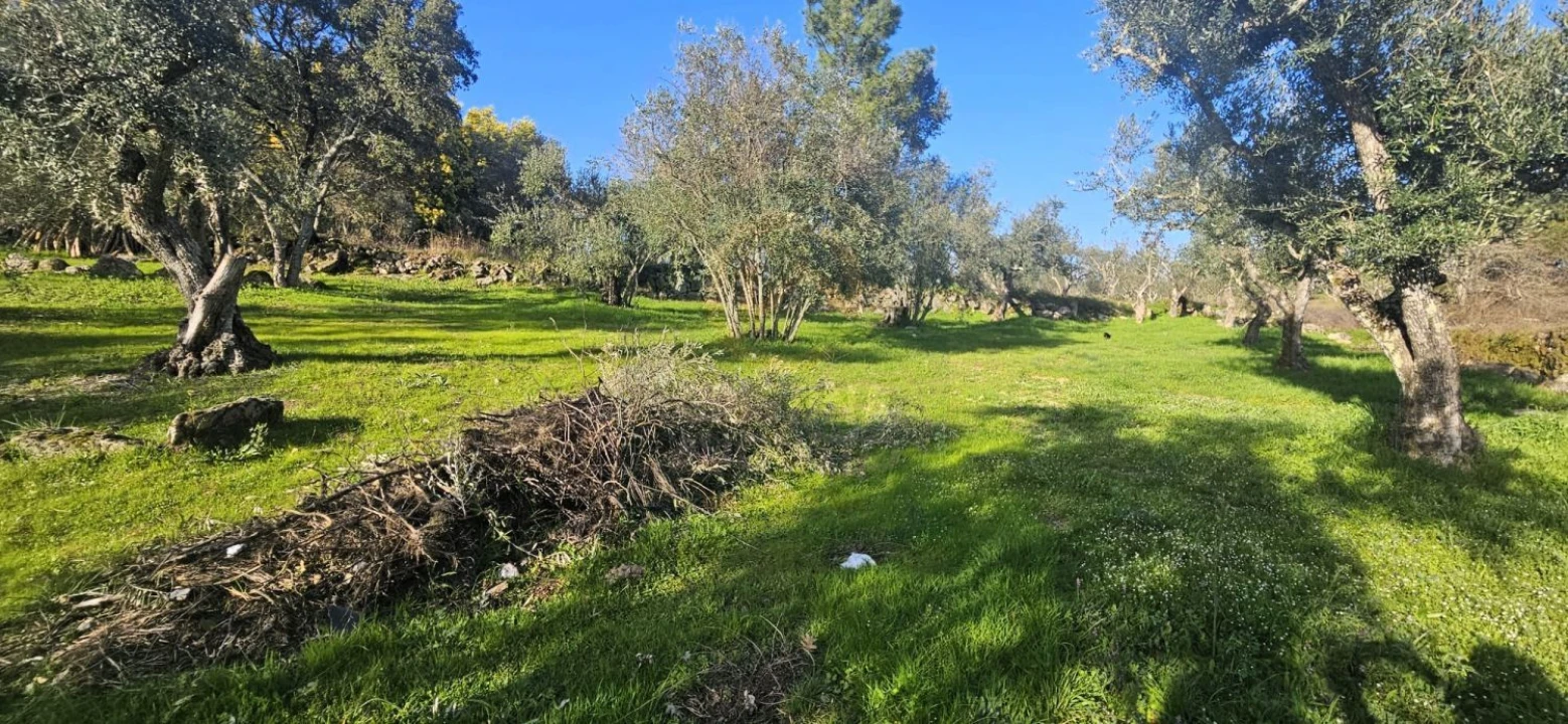 Terreno para Venda em Póvoa de Rio de Moinhos e Cafede Foto 13