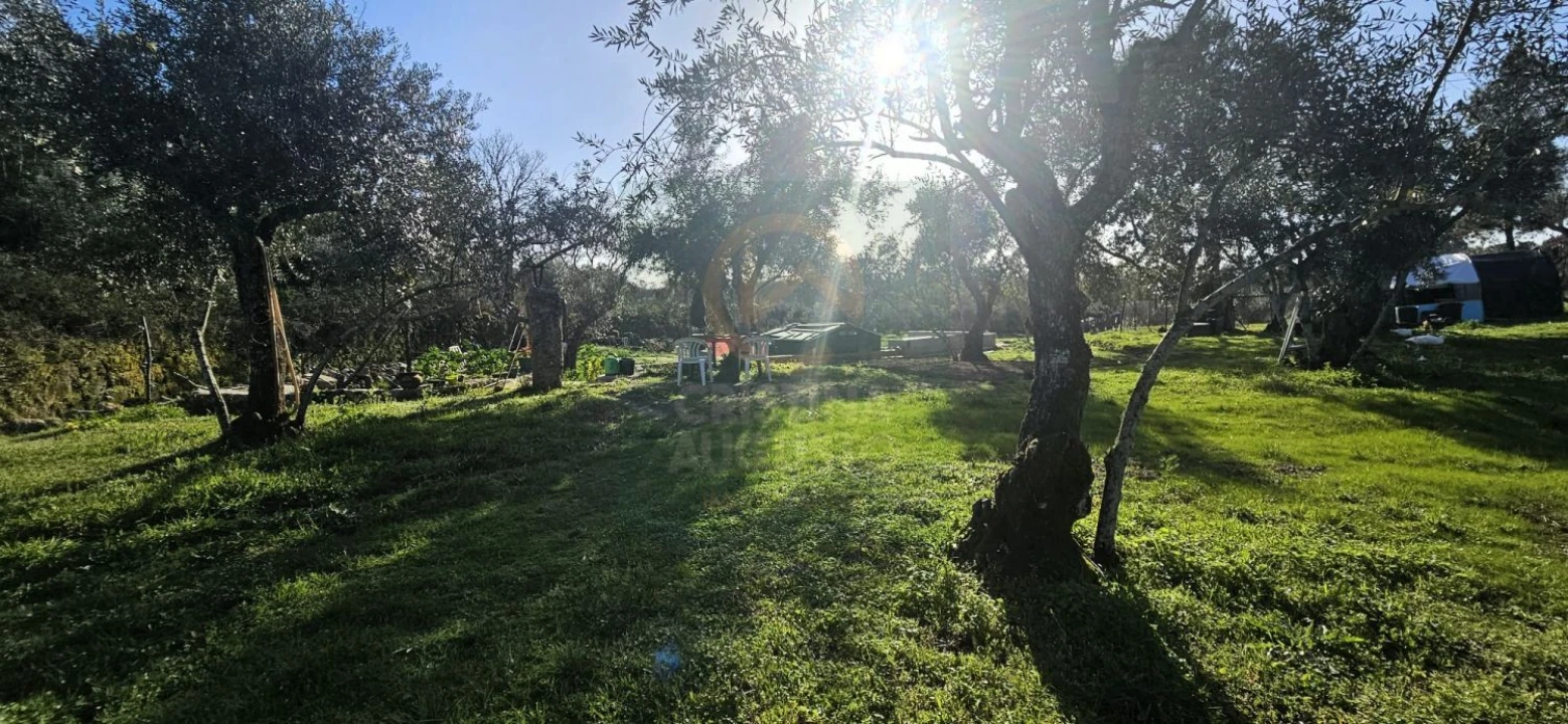 Terreno para Venda em Póvoa de Rio de Moinhos e Cafede Foto 54