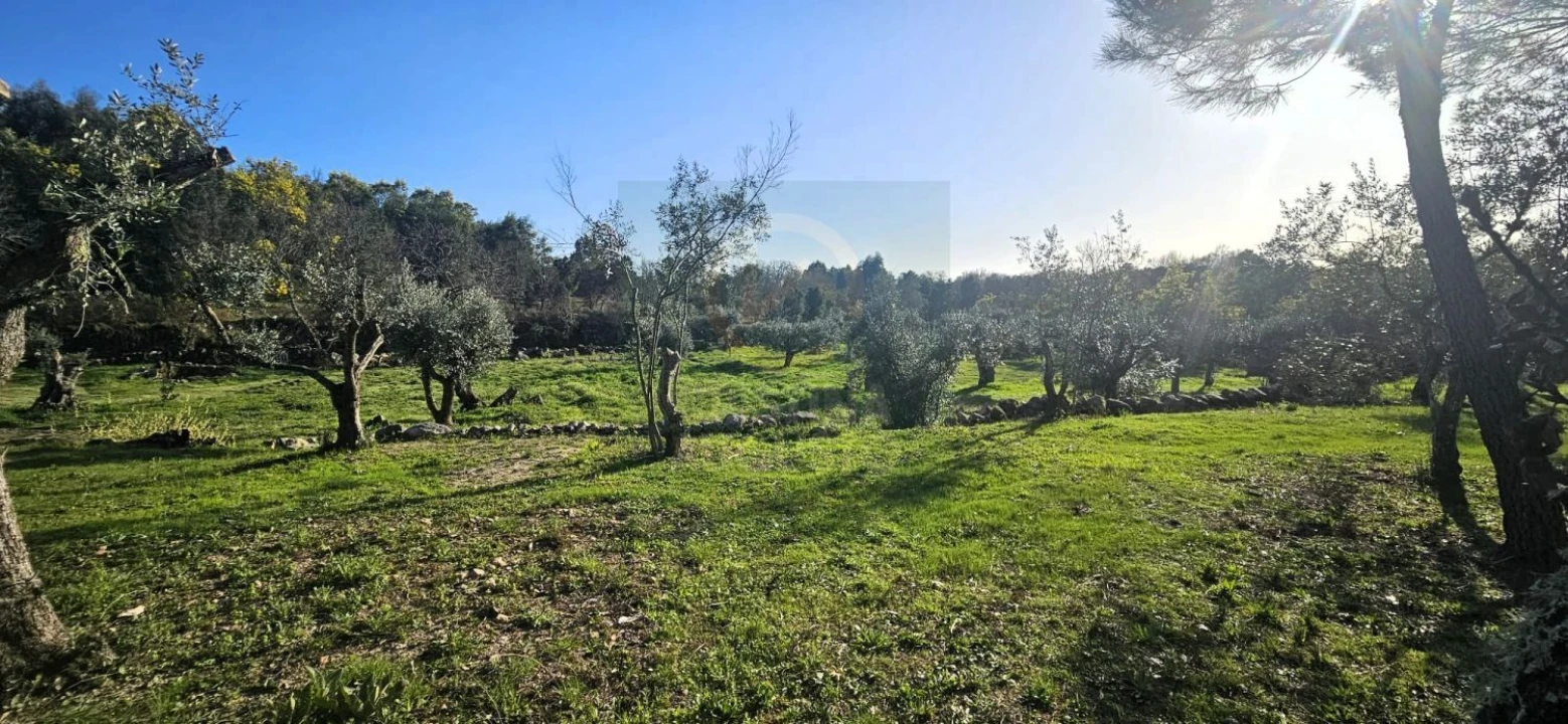 Terreno para Venda em Póvoa de Rio de Moinhos e Cafede Foto 14