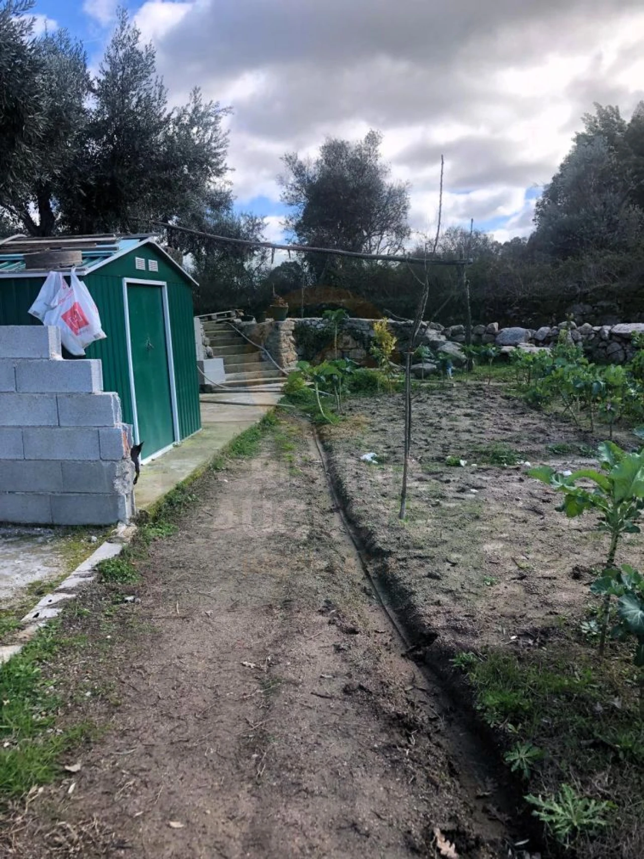 Terreno para Venda em Póvoa de Rio de Moinhos e Cafede Foto 8