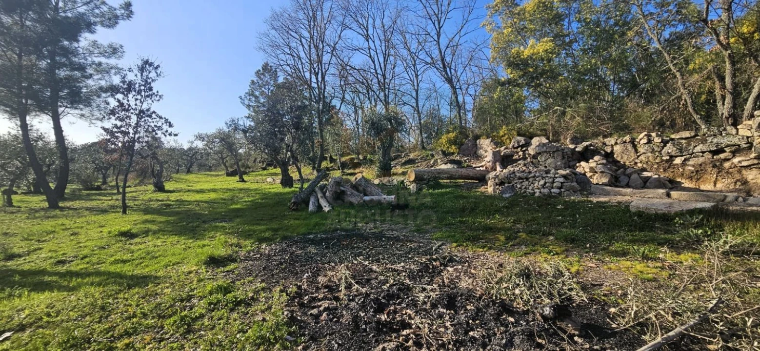 Terreno para Venda em Póvoa de Rio de Moinhos e Cafede Foto 50