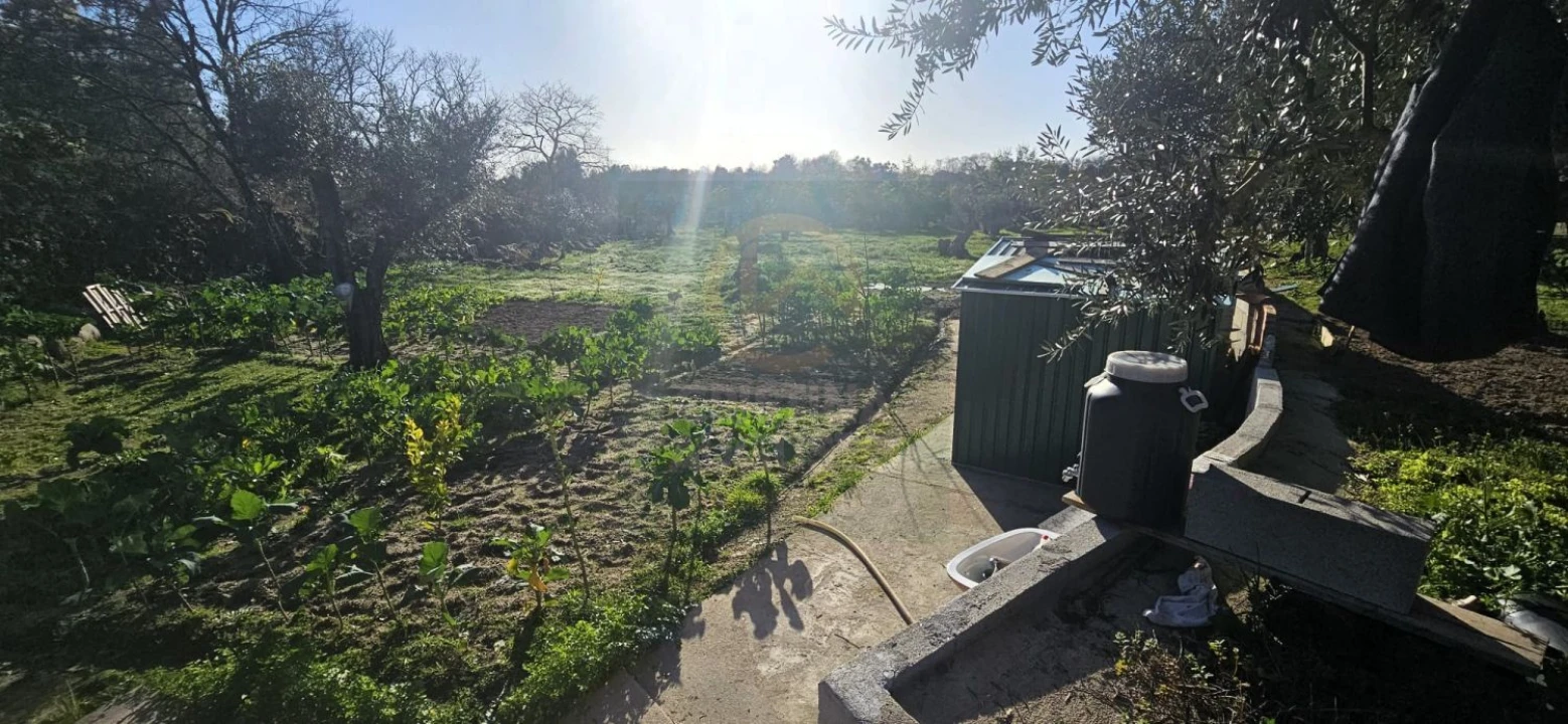 Terreno para Venda em Póvoa de Rio de Moinhos e Cafede Foto 28