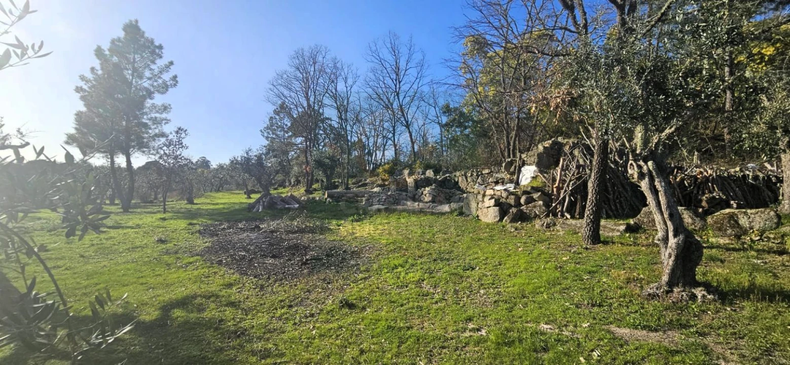 Terreno para Venda em Póvoa de Rio de Moinhos e Cafede Foto 51