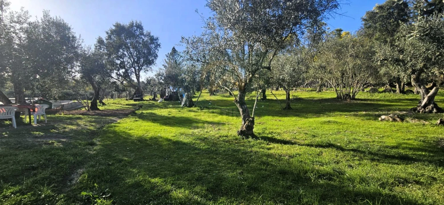 Terreno para Venda em Póvoa de Rio de Moinhos e Cafede Foto 43