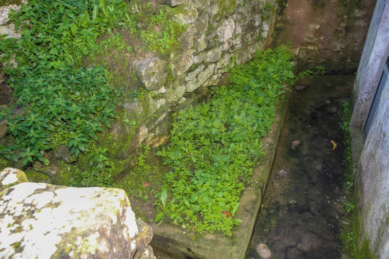 Moradia T2 para Venda em Aldeia Galega da Merceana e Aldeia Gavinha Foto 4