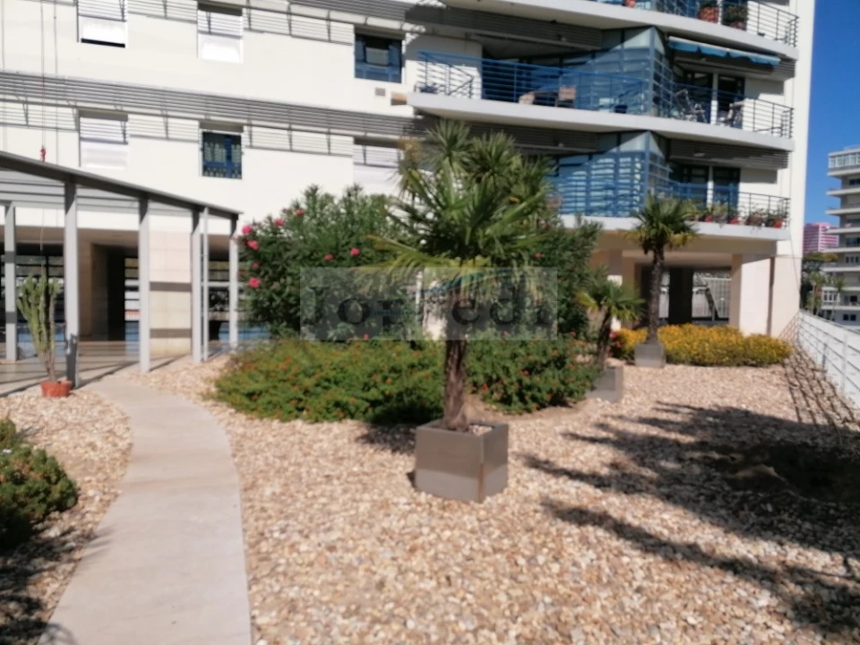 Apartamento T2 para Arrendamento em Campolide Foto 14