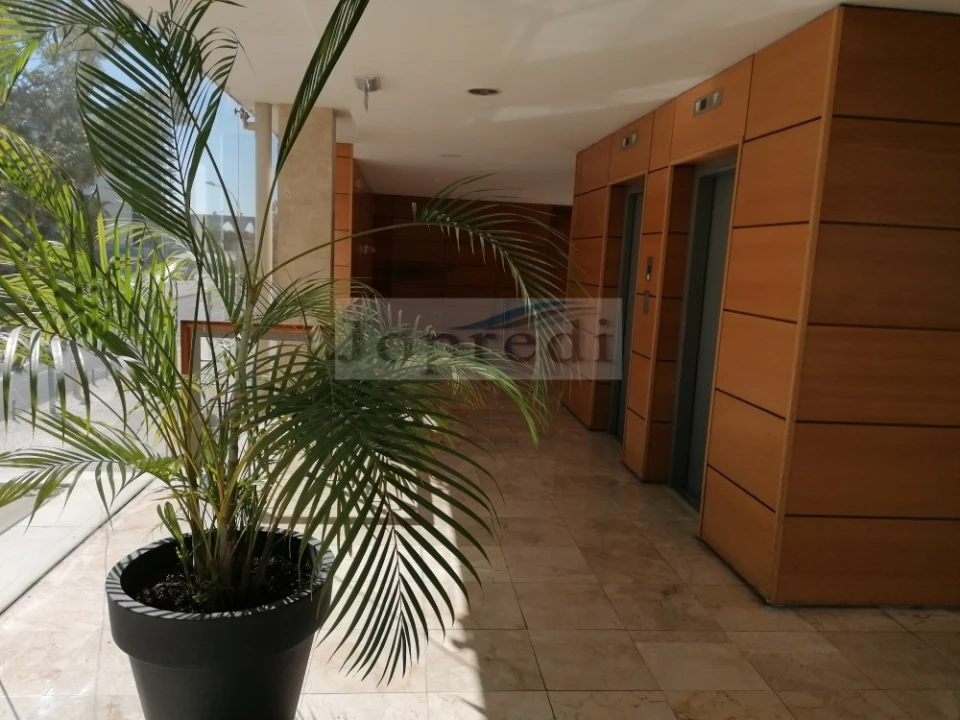 Apartamento T2 para Arrendamento em Campolide Foto 17