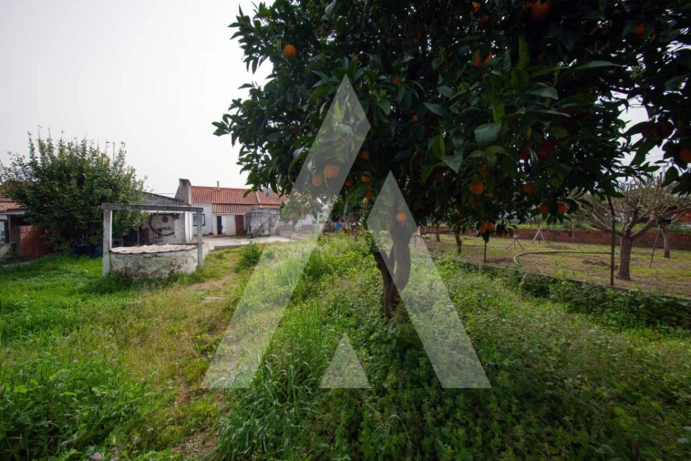 Moradia T3 para Venda em Couço Foto 31